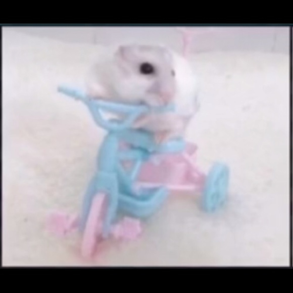 Meet your Posher, Kenia